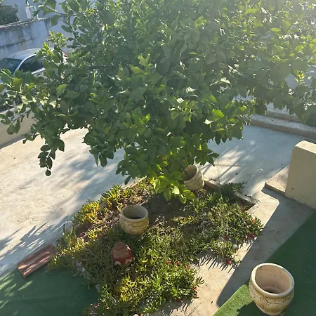Lemonia Apartment Megara Exterior photo